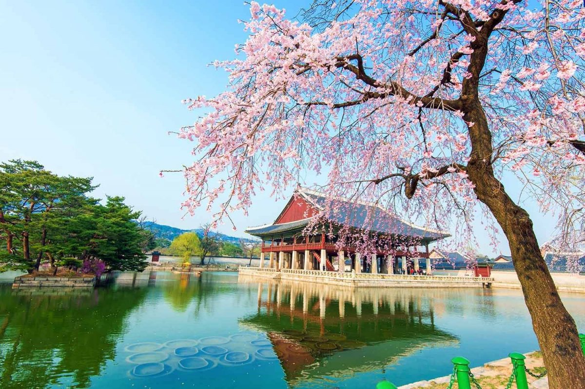 Paket Tour ke Korea Selatan 6 Hari 5 Malam Mei Musim Semi (Spring)