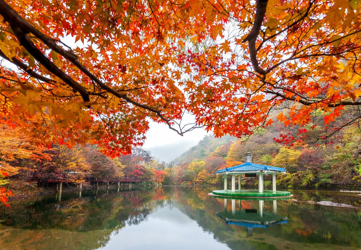 Paket Tour ke Korea Selatan 6 Hari 5 Malam Oktober Musim Gugur (Autumn) 2018