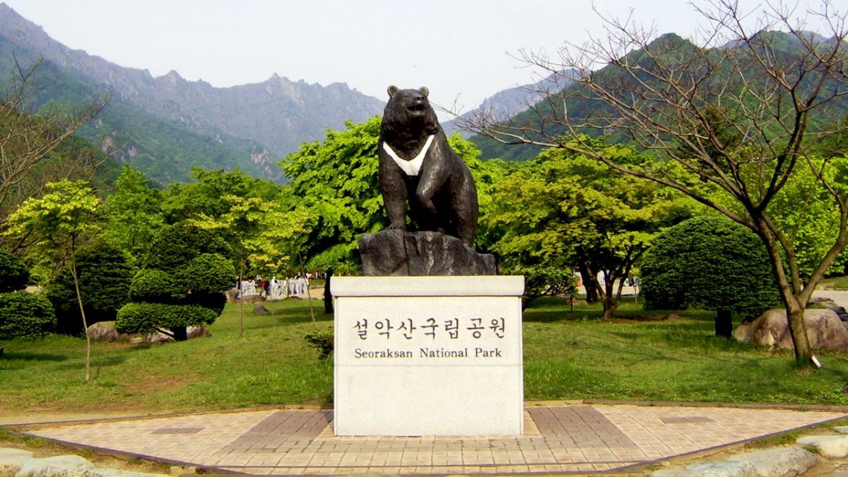 Patung Beruang di Gwongeumseong Fortress