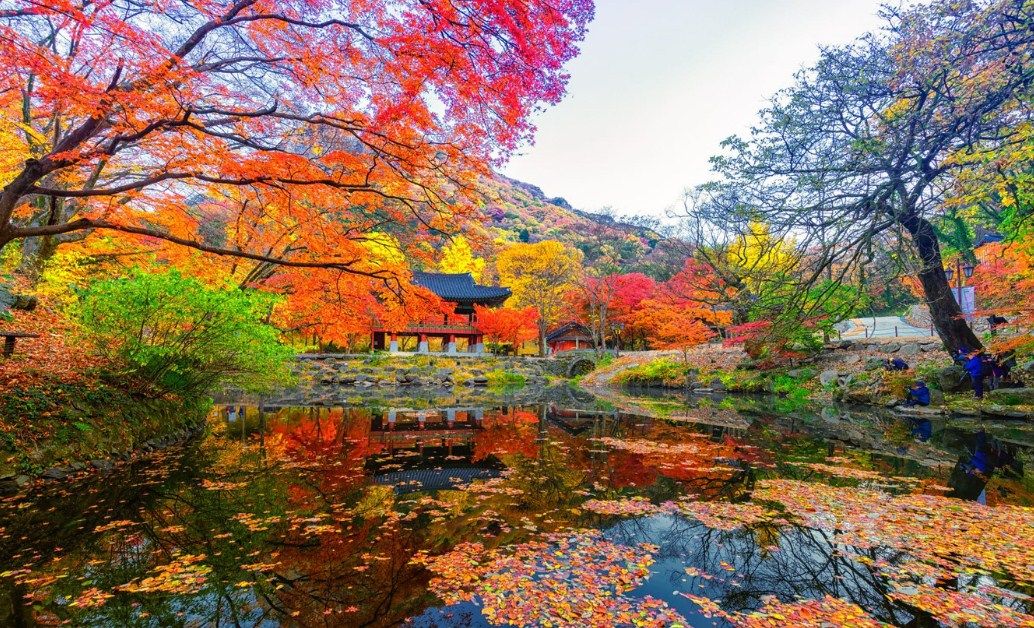 Tempat Wisata Di Korea Selatan Saat Musim Gugur Tempat