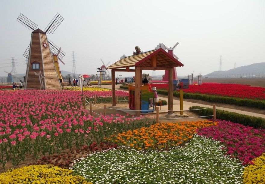Pesona Daebu Bada Hyanggi Theme Park di Setiap Musim