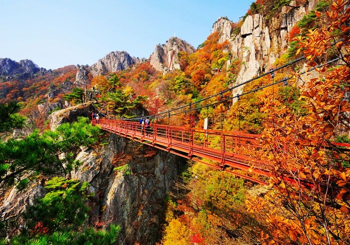 Geumgang Gureumdari (Cloud) Bridge, Icon dari Daedunsan | Trip dan Tour ke  Korea