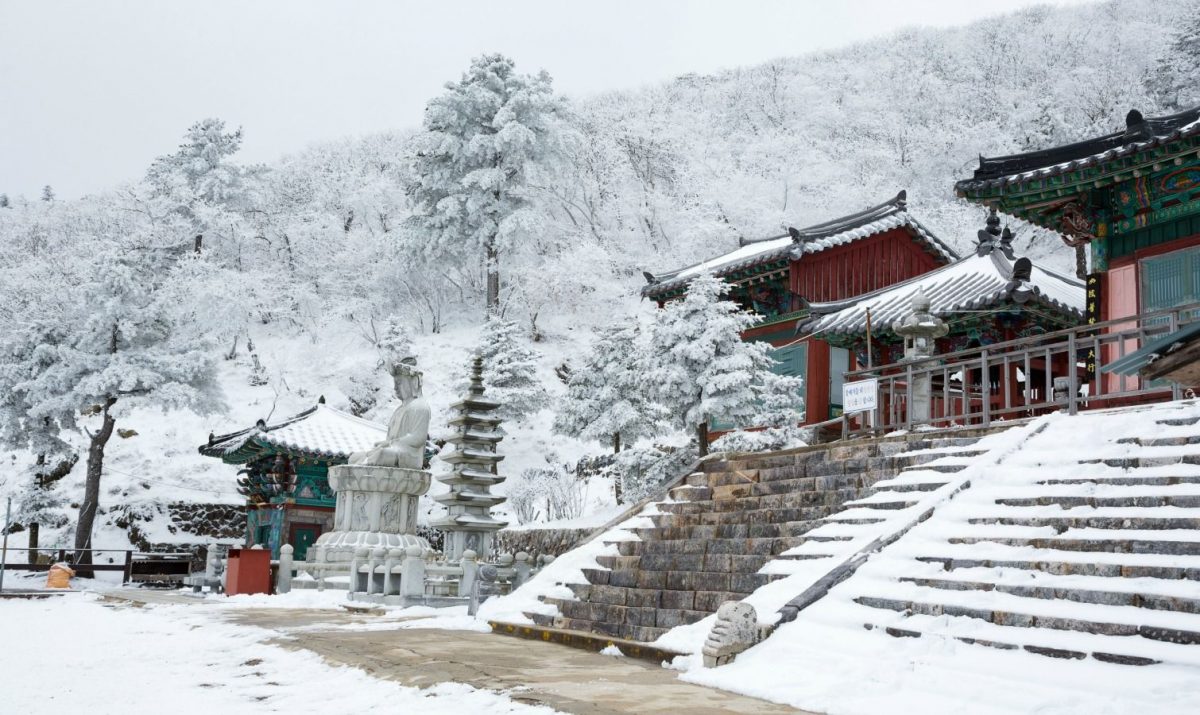 Paket Tour ke Korea Selatan 5 Hari Januari Musim Dingin (Winter) 2019