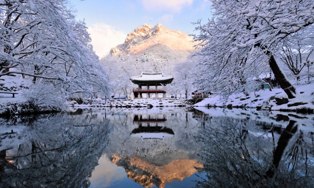 Paket Tour ke Korea Selatan 7 Hari Februari Musim Dingin (Winter)