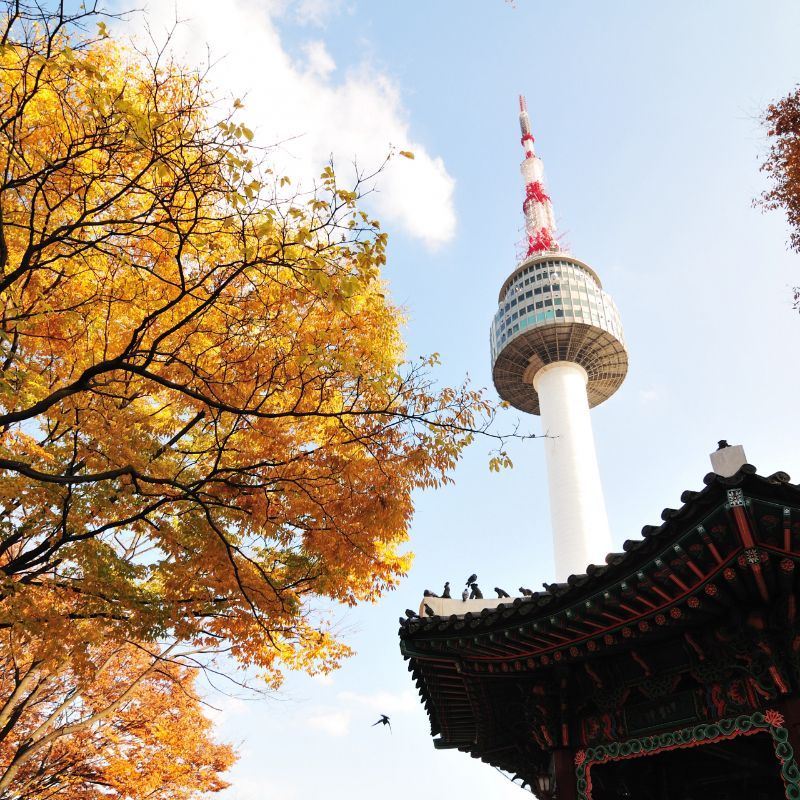 Busan Tower-