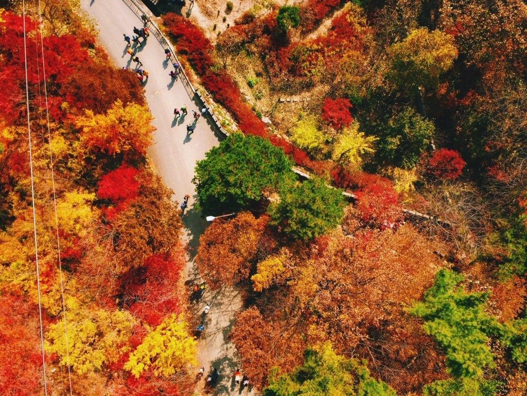 Paket Tour ke Korea Selatan 7 Hari Oktober - Musim Gugur (Autumn)