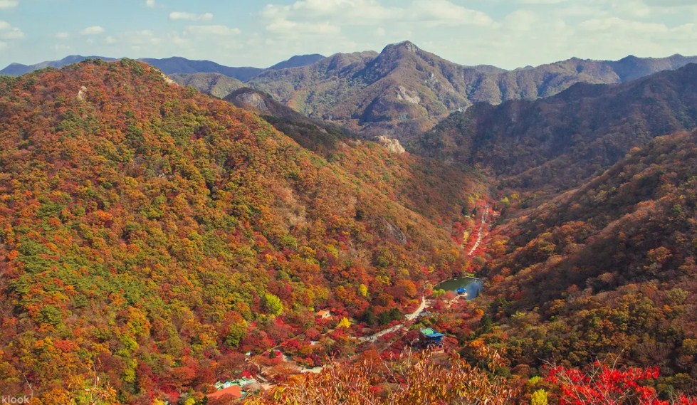 Tempat Terbaik Menikmati Musim Gugur di Korea Selatan