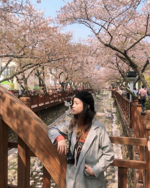 Tips Berpakaian Musim Semi di Korea Selatan