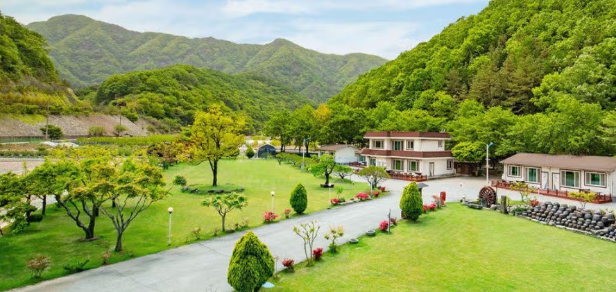 Damyang Korea Selatan, Foto idntimes.com