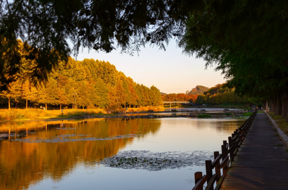 Gwanbangjerim Forest Damyang, Foto Visit Korea