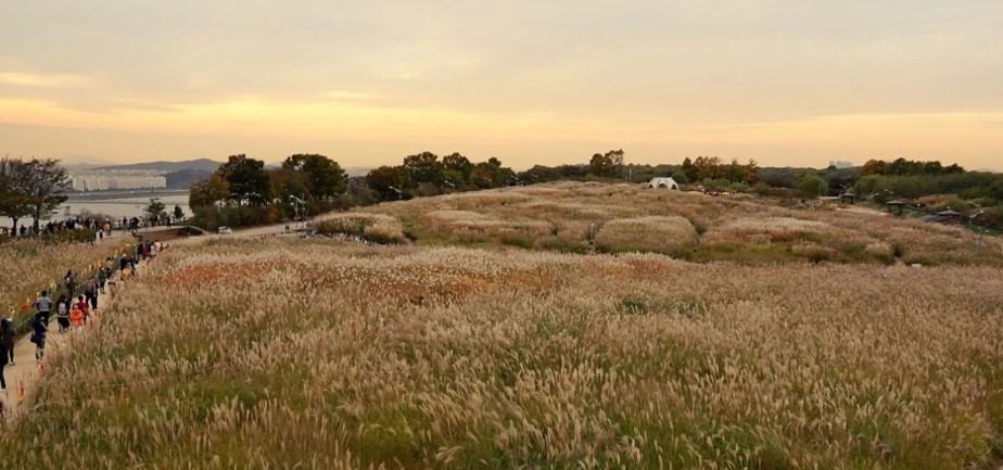 Haneul Park Korea Selatan, Foto seoulinsidersguide.com