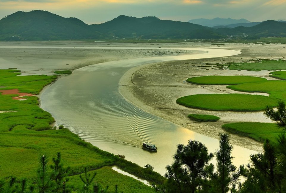Suncheon Bay Ecological Park Korea Selatan, Foto thisiskoreatours.com
